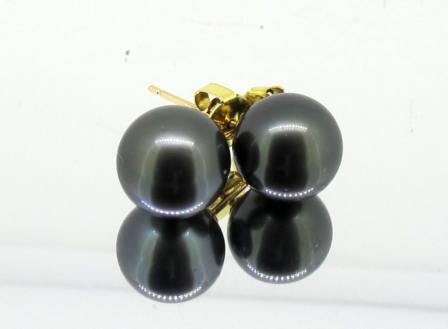 Black Pearl earring studs
